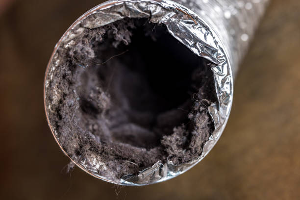Best Air Duct Mold Removal  in Manchester, KY